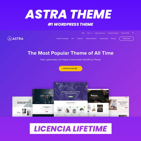 Tema Astra Pro